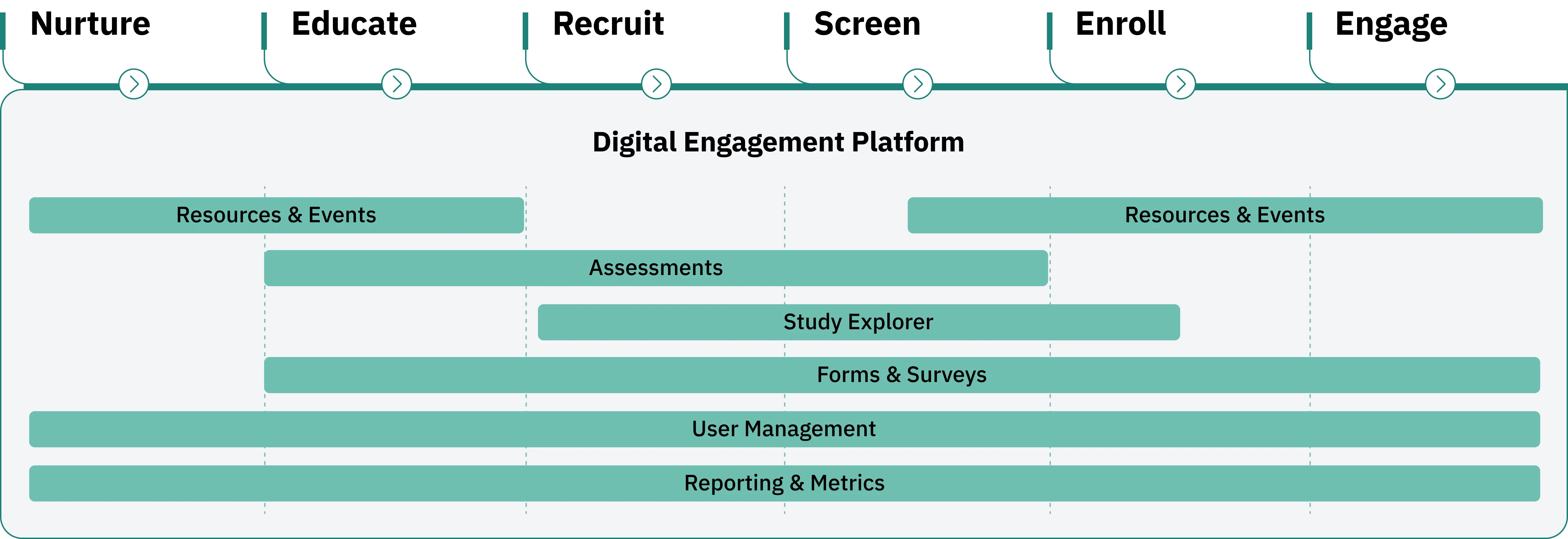 DEP research journey infographic